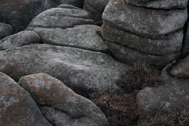 Verwitterte Granitblöcke mit Flechten auf dem Brockenplateau